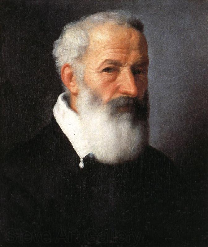 MORONI, Giovanni Battista Portrait of an Old Man Spain oil painting art
